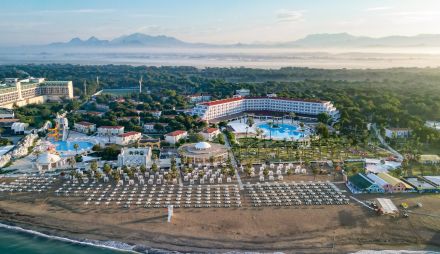 SELECTUM NOA BELEK